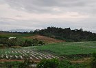 malaysia050