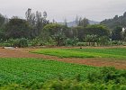 malaysia059