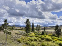 usayel131  Rund um das Becken