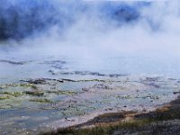 usaynp508  das ist heiss