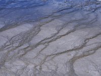 usaynp521  die Mikroorgane als Baumeister