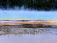 usaynp524  Farbenpracht der Mikroorgane