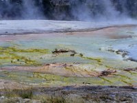 usaynp539  die Farben der Mikroorganismen