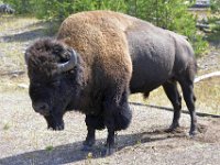 usaynp555  Ruhestörung durch Touristen