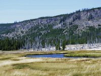 usaynp559  ein kleiner Bach