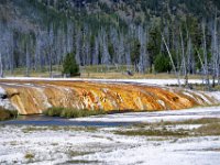 usaynp568  Schwefel und Mikroben