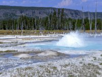 usaynp569  aktiver Geysir