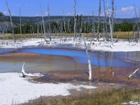 usaynp573  Farbspektakel der Mikroben