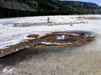 usaynp594  Mini Geysir