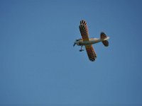 Model airshow24091116 : Modellflugshow, Gresten, Niederoesterreich, Mostflugtage