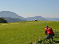 Modell Airshow250911090 : Modellflugshow, Gresten, Niederoesterreich, Mostflugtage