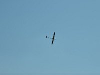 Modell Airshow250911139 : Modellflugshow, Gresten, Niederoesterreich, Mostflugtage