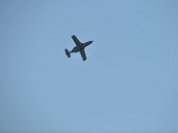 Modell Airshow250911266 : Modellflugshow, Gresten, Niederoesterreich, Mostflugtage