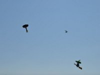 Modell Airshow250911303 : Modellflugshow, Gresten, Niederoesterreich, Mostflugtage