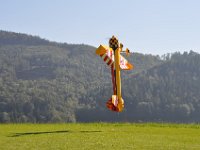 Modell Airshow250911336 : Modellflugshow, Gresten, Niederoesterreich, Mostflugtage