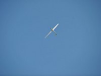 Modell Airshow250911379 : Modellflugshow, Gresten, Niederoesterreich, Mostflugtage