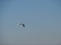 Modell Airshow250911429 : Modellflugshow, Gresten, Niederoesterreich, Mostflugtage