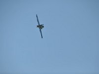 Modell Airshow250911453 : Modellflugshow, Gresten, Niederoesterreich, Mostflugtage