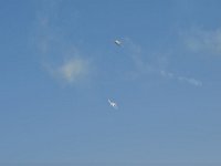 Modell Airshow250911470 : Modellflugshow, Gresten, Niederoesterreich, Mostflugtage