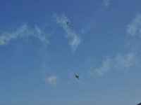 Modell Airshow250911471 : Modellflugshow, Gresten, Niederoesterreich, Mostflugtage