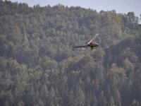 Modell Airshow250911532 : Modellflugshow, Gresten, Niederoesterreich, Mostflugtage