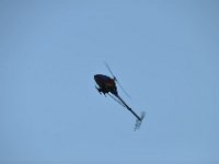 Modell Airshow250911536 : Modellflugshow, Gresten, Niederoesterreich, Mostflugtage