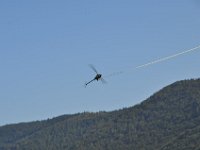 Modell Airshow250911539 : Modellflugshow, Gresten, Niederoesterreich, Mostflugtage