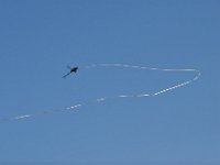 Modell Airshow250911542 : Modellflugshow, Gresten, Niederoesterreich, Mostflugtage