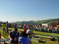 Modell Airshow250911602 : Modellflugshow, Gresten, Niederoesterreich, Mostflugtage