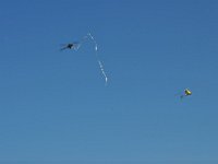 Modell Airshow250911677 : Modellflugshow, Gresten, Niederoesterreich, Mostflugtage