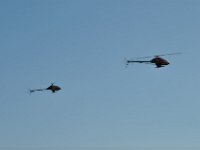 Modell Airshow250911679 : Modellflugshow, Gresten, Niederoesterreich, Mostflugtage