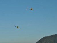 Modell Airshow250911682 : Modellflugshow, Gresten, Niederoesterreich, Mostflugtage