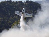DSC8769