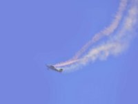 DSC8953a