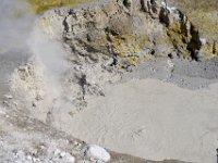 usaynp068  grau grüne Suppe