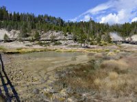 usaynp084  die Stege für den Rundgang