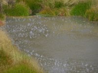 usaynp087  kochendes Wasser