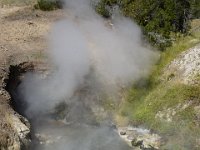 usaynp091  da hats gepfaucht und gezischt