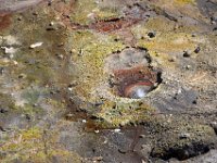 usaynp100  Mikroorganismen Welt