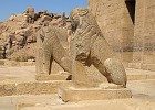 Philea Tempel-Aswan 16  auch die Löwengottköpfe mussten dranglauben