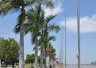 DSC 0265  Promenade am Tonlesap : Kambodscha, Pnom Penh, Fotodokumentation, Reisebericht.