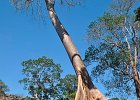 DSC 0250