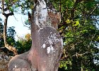 DSC 0317