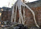 DSC 0400  Zurückerobert : Angkor, Preah Khan, Kambodscha, Reisefoto, Fotodokumentation, Tempel