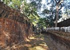 DSC 0419 : Angkor, Preah Khan, Kambodscha, Reisefoto, Fotodokumentation, Tempel