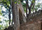 DSC 0454 : Angkor, Preah Khan, Kambodscha, Reisefoto, Fotodokumentation, Tempel