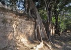 DSC 0467 : Angkor, Preah Khan, Kambodscha, Reisefoto, Fotodokumentation, Tempel