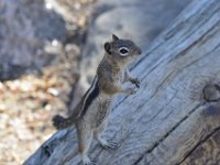 rmnp049  na dann bettle ich mal