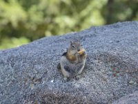 rmnp054  war erfolgreich