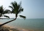 mnam05  Mae Nam : Thailand, Koh Samui, Beach, Reisefotodokumentation